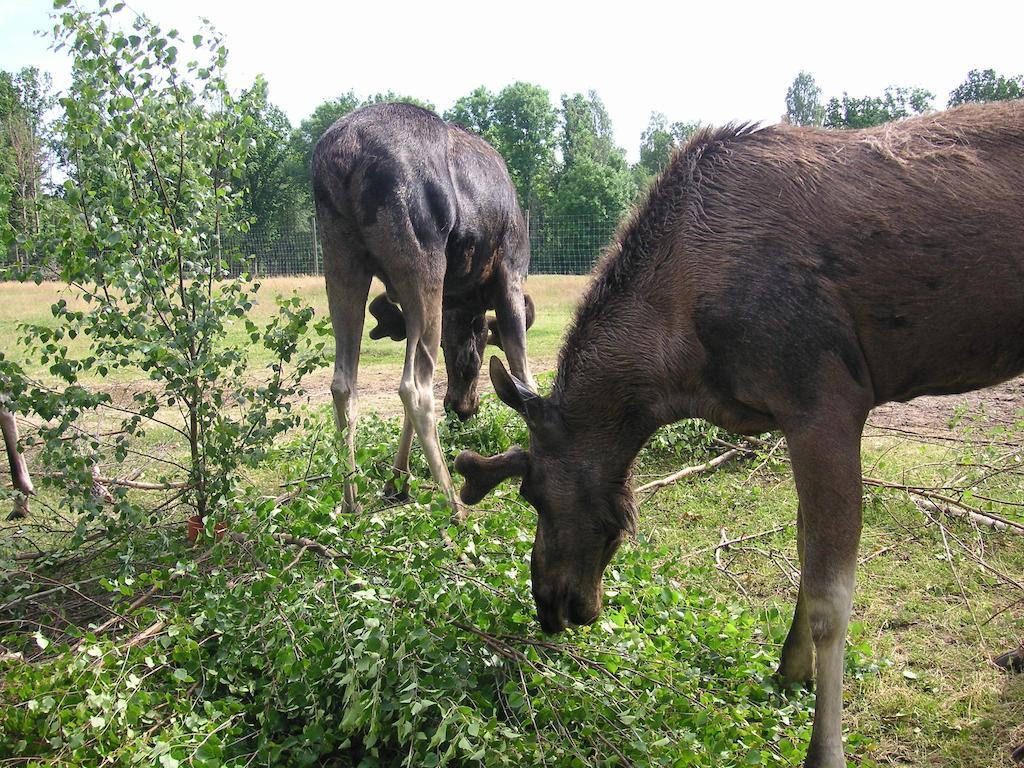 Tildas Urshult Exteriör bild
